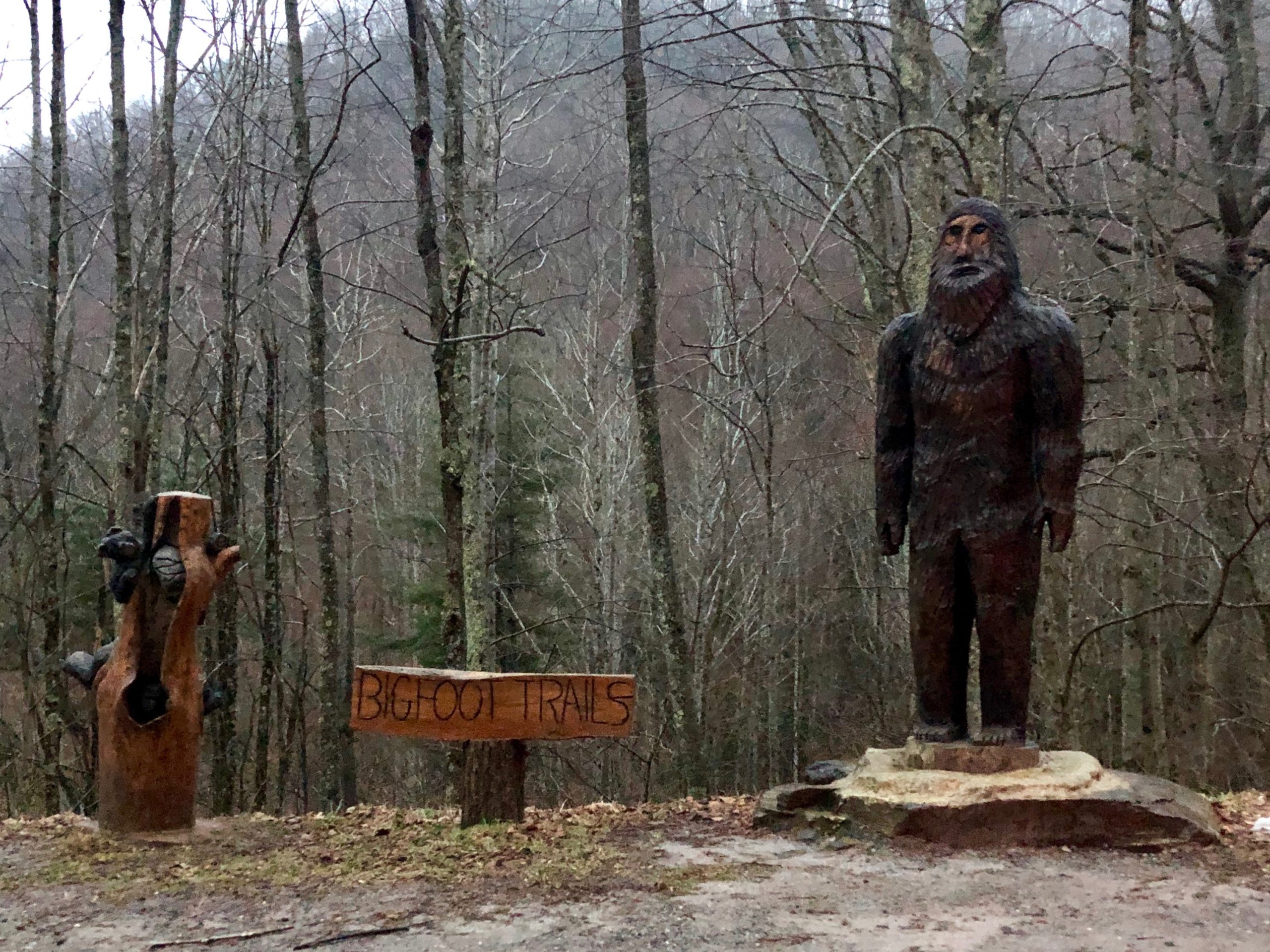 Bigfoot Trails Statue, Cataloochee, NC (46721642951)