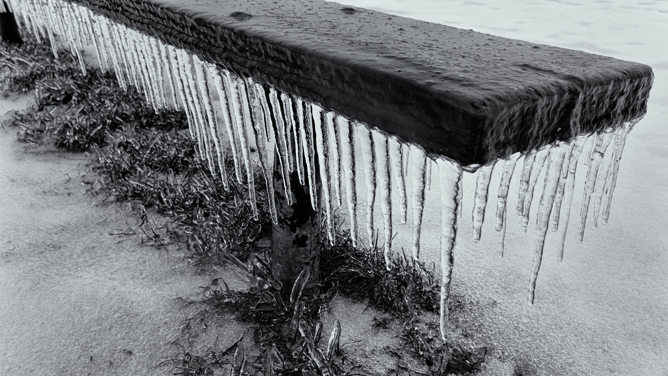 The Cold Seat